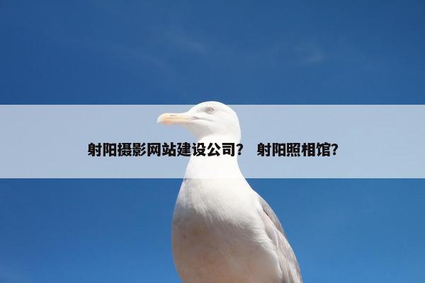 射阳摄影网站建设公司？ 射阳照相馆？
