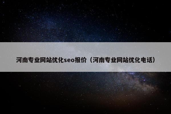 河南专业网站优化seo报价（河南专业网站优化电话）