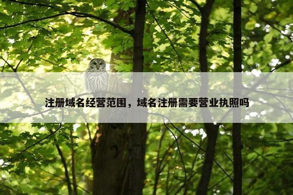 注册域名经营范围，域名注册需要营业执照吗