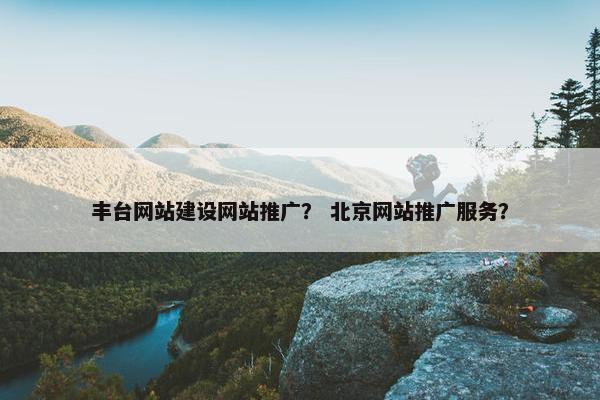 丰台网站建设网站推广？ 北京网站推广服务？