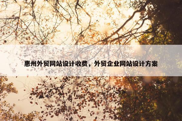 惠州外贸网站设计收费，外贸企业网站设计方案