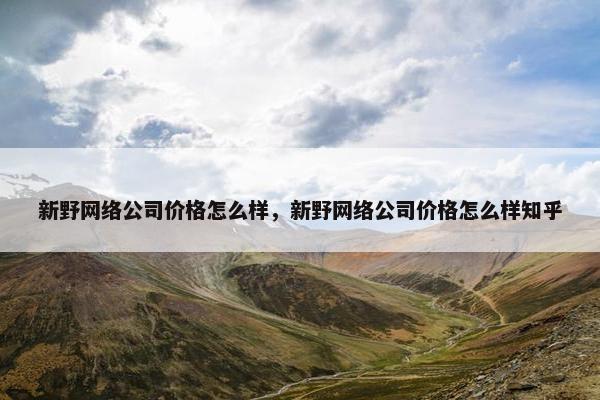新野网络公司价格怎么样，新野网络公司价格怎么样知乎