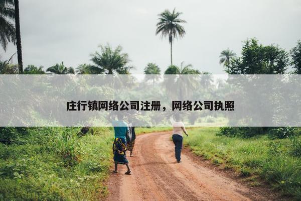 庄行镇网络公司注册，网络公司执照