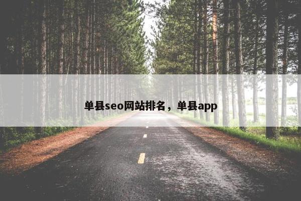 单县seo网站排名，单县app