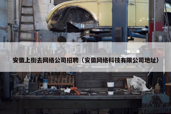 安徽上街去网络公司招聘（安徽网络科技有限公司地址）