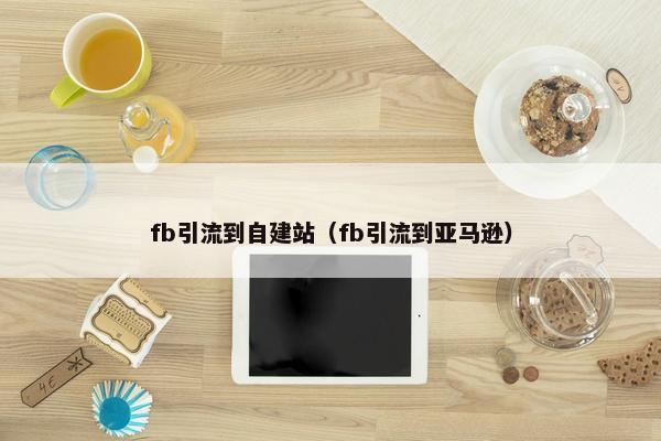 fb引流到自建站（fb引流到亚马逊）