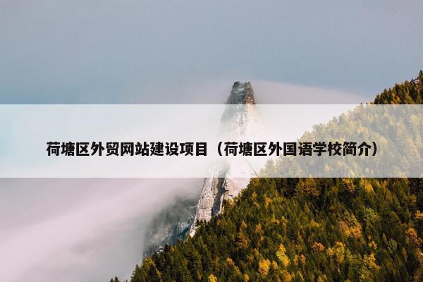 荷塘区外贸网站建设项目（荷塘区外国语学校简介）