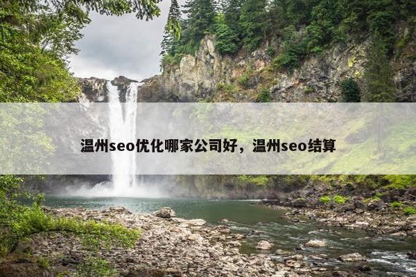 温州seo优化哪家公司好，温州seo结算