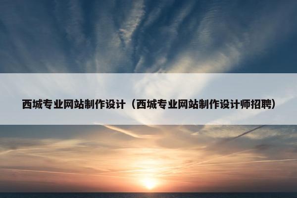 西城专业网站制作设计（西城专业网站制作设计师招聘）