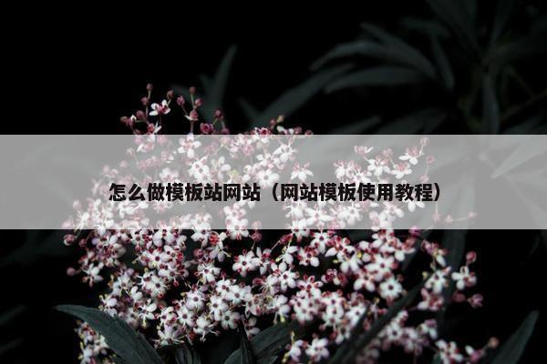 怎么做模板站网站（网站模板使用教程）