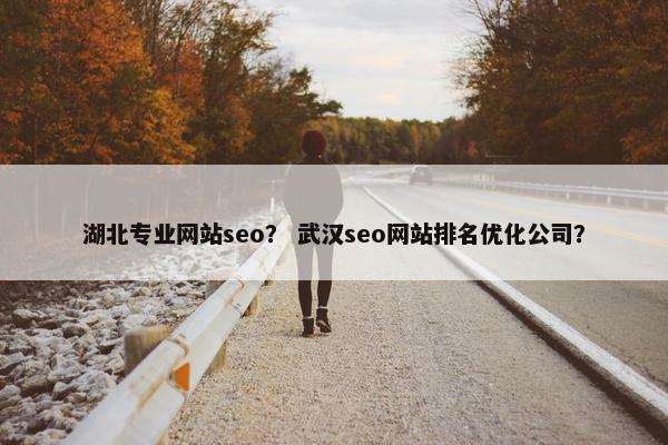 湖北专业网站seo？ 武汉seo网站排名优化公司？