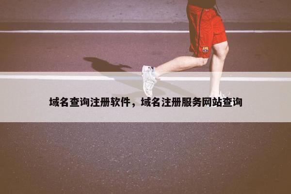 域名查询注册软件，域名注册服务网站查询