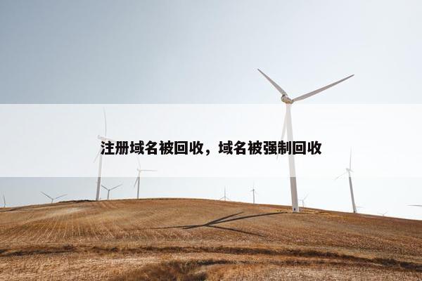 注册域名被回收，域名被强制回收