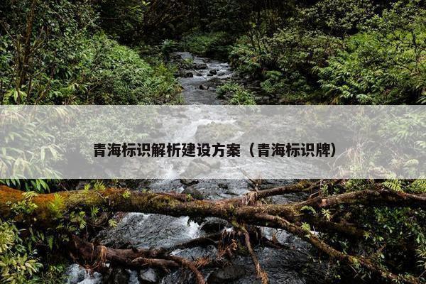 青海标识解析建设方案（青海标识牌）