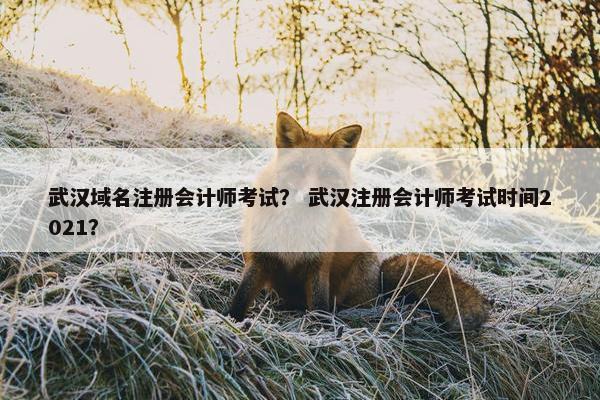 武汉域名注册会计师考试？ 武汉注册会计师考试时间2021？