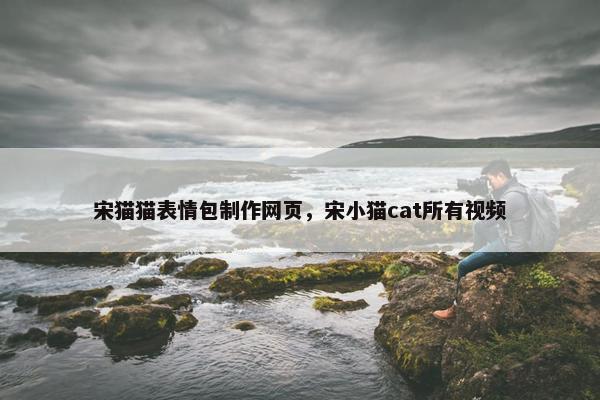 宋猫猫表情包制作网页，宋小猫cat所有视频
