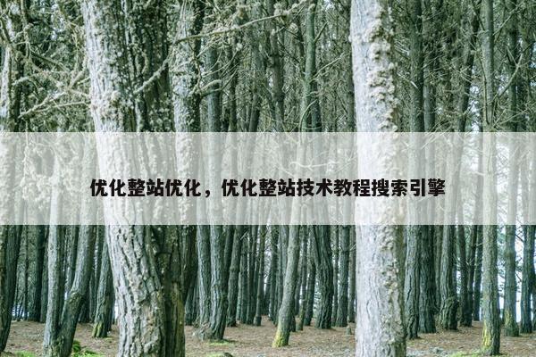 优化整站优化，优化整站技术教程搜索引擎