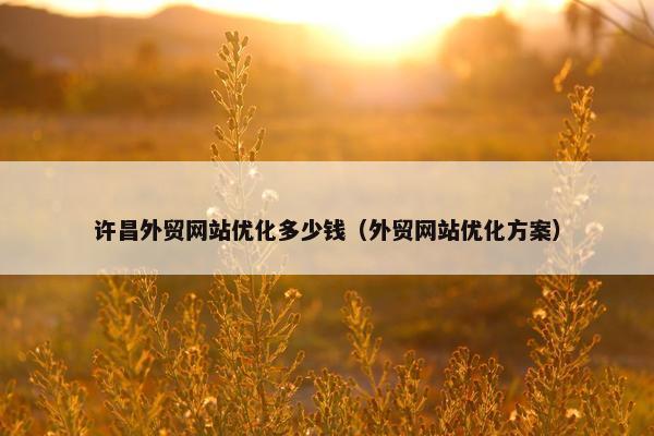 许昌外贸网站优化多少钱（外贸网站优化方案）