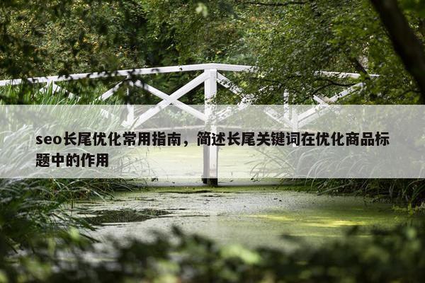 seo长尾优化常用指南，简述长尾关键词在优化商品标题中的作用