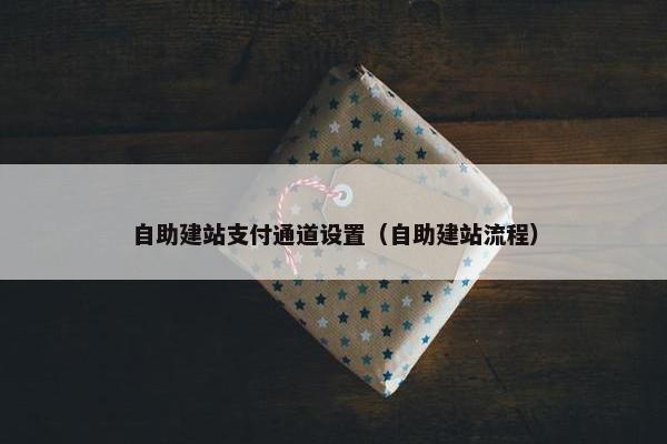 自助建站支付通道设置（自助建站流程）