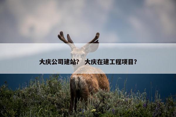 大庆公司建站？ 大庆在建工程项目？