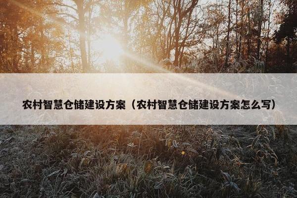 农村智慧仓储建设方案（农村智慧仓储建设方案怎么写）