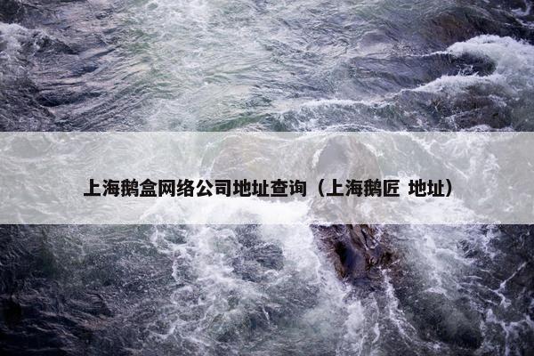 上海鹅盒网络公司地址查询（上海鹅匠 地址）