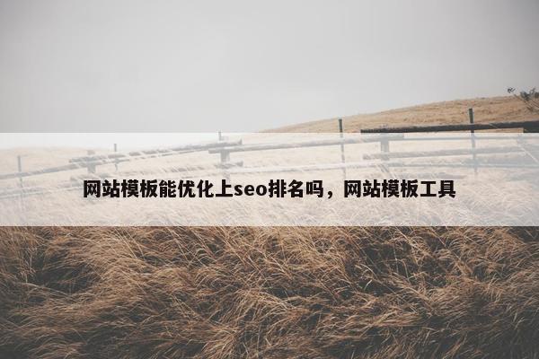 网站模板能优化上seo排名吗，网站模板工具