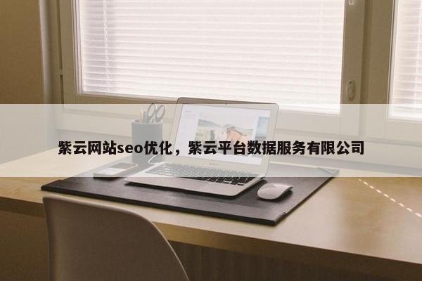 紫云网站seo优化，紫云平台数据服务有限公司