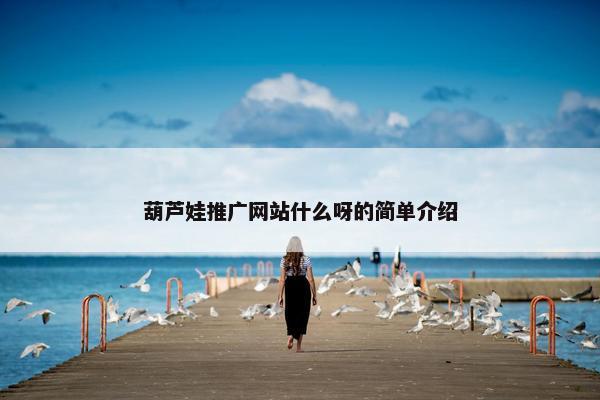 葫芦娃推广网站什么呀的简单介绍