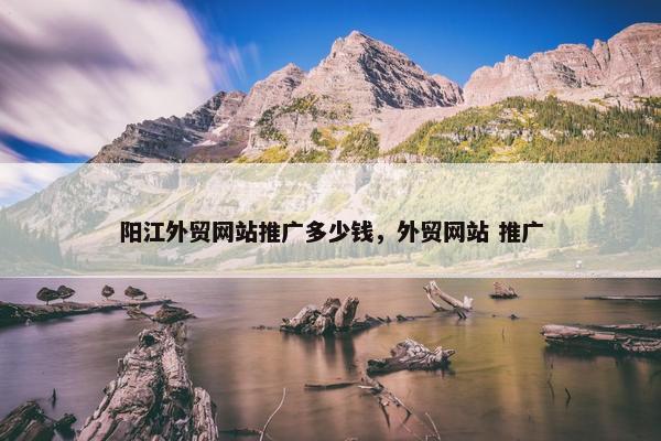 阳江外贸网站推广多少钱，外贸网站 推广