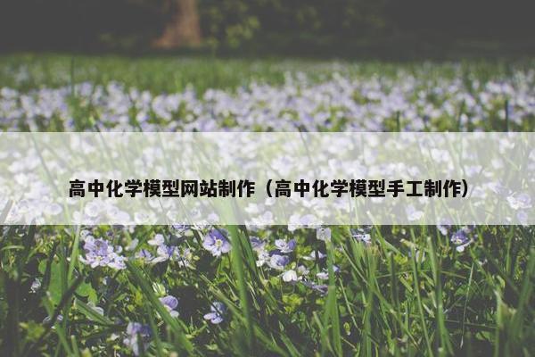 高中化学模型网站制作（高中化学模型手工制作）