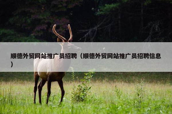 顺德外贸网站推广员招聘（顺德外贸网站推广员招聘信息）