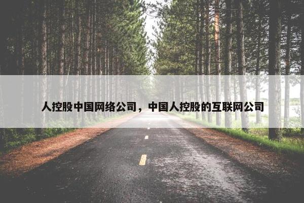 人控股中国网络公司，中国人控股的互联网公司