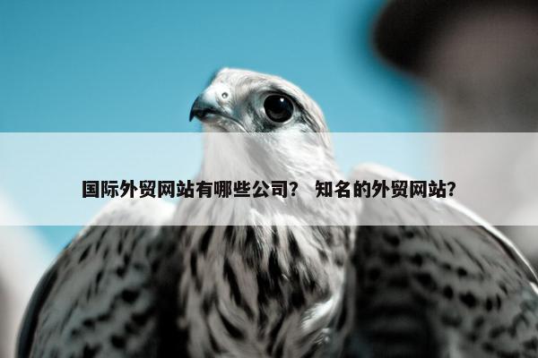 国际外贸网站有哪些公司？ 知名的外贸网站？