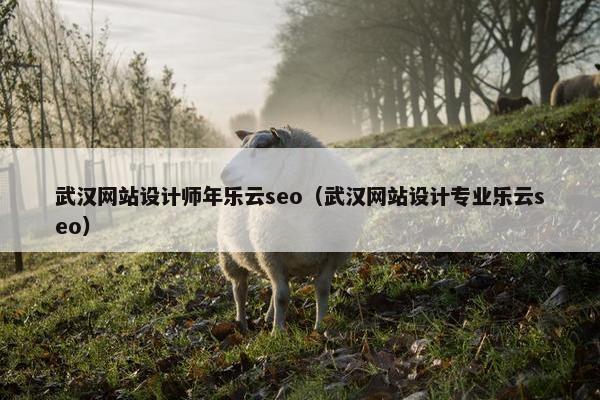 武汉网站设计师年乐云seo（武汉网站设计专业乐云seo）