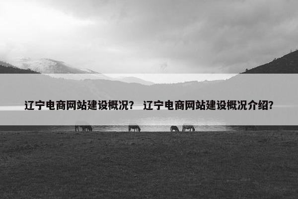 辽宁电商网站建设概况？ 辽宁电商网站建设概况介绍？