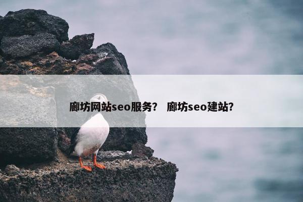 廊坊网站seo服务？ 廊坊seo建站？