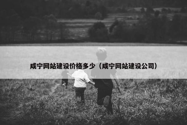 咸宁网站建设价格多少（咸宁网站建设公司）
