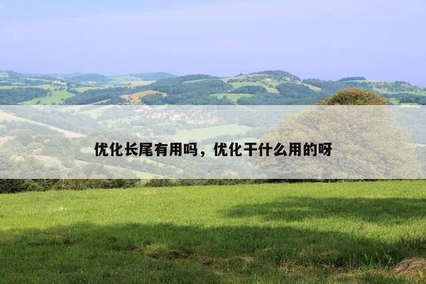 优化长尾有用吗，优化干什么用的呀