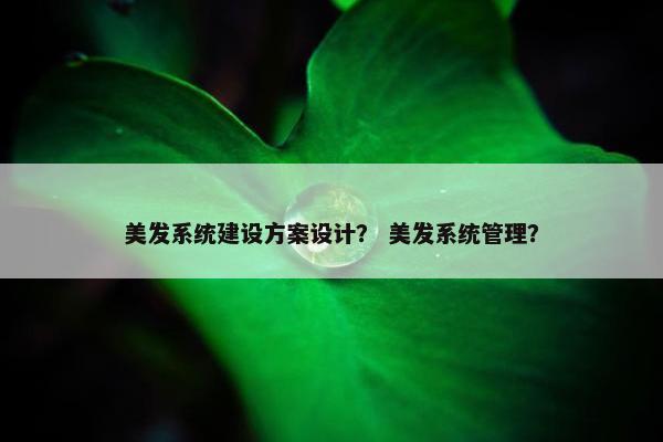 美发系统建设方案设计？ 美发系统管理？