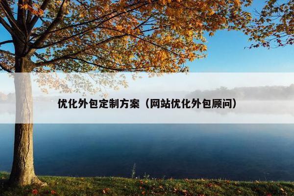 优化外包定制方案（网站优化外包顾问）