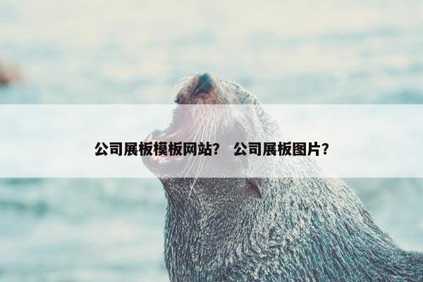 公司展板模板网站？ 公司展板图片？