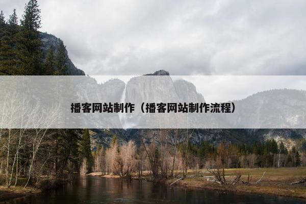 播客网站制作（播客网站制作流程）