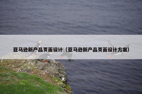 亚马逊新产品页面设计（亚马逊新产品页面设计方案）