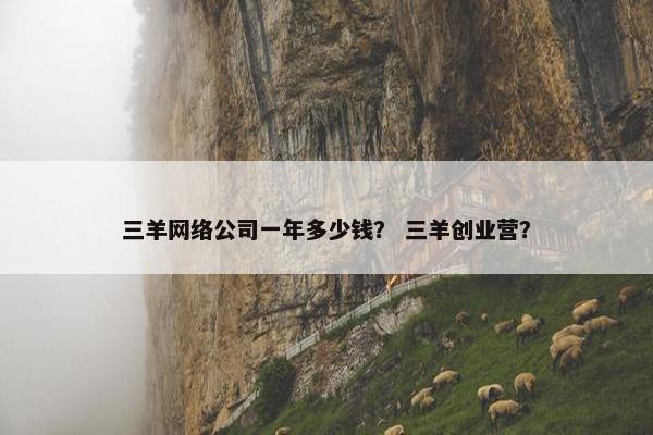 三羊网络公司一年多少钱？ 三羊创业营？