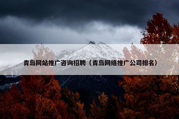 青岛网站推广咨询招聘（青岛网络推广公司排名）