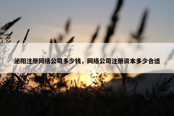泌阳注册网络公司多少钱，网络公司注册资本多少合适