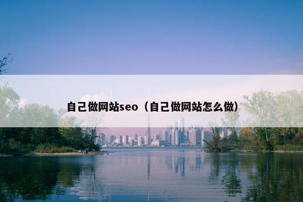 自己做网站seo（自己做网站怎么做）