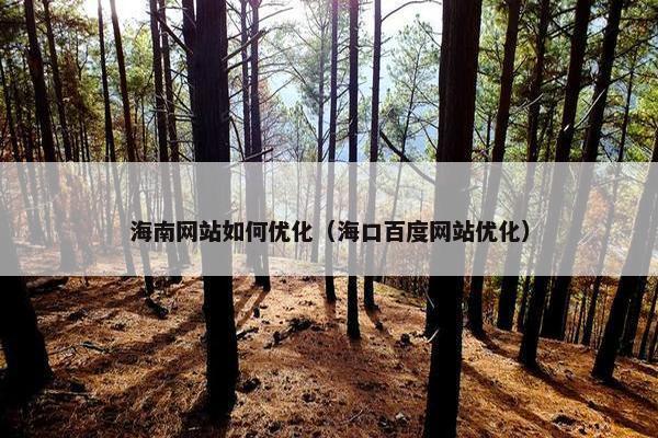 海南网站如何优化（海口百度网站优化）